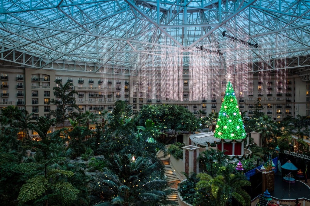 Atrium Cmas Tree Lights