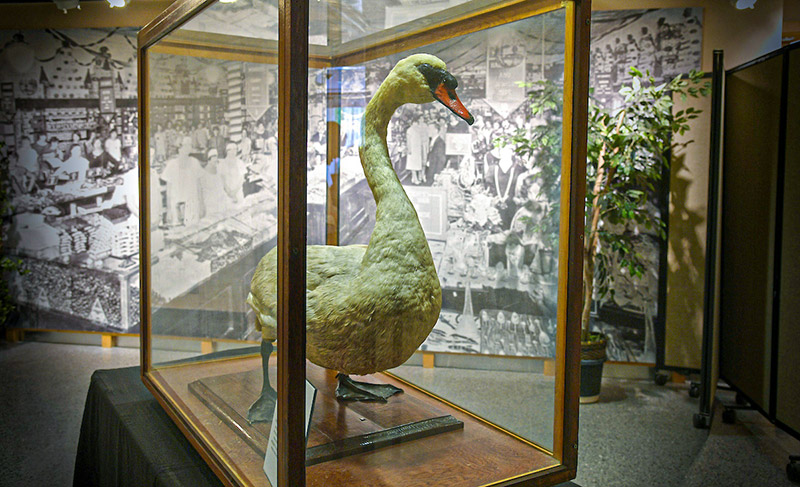 Thehistorycenter Billy